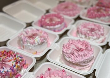 WhatsApp Image 2026-02-11 at 12.40.07